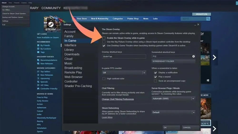 Steam Overlay