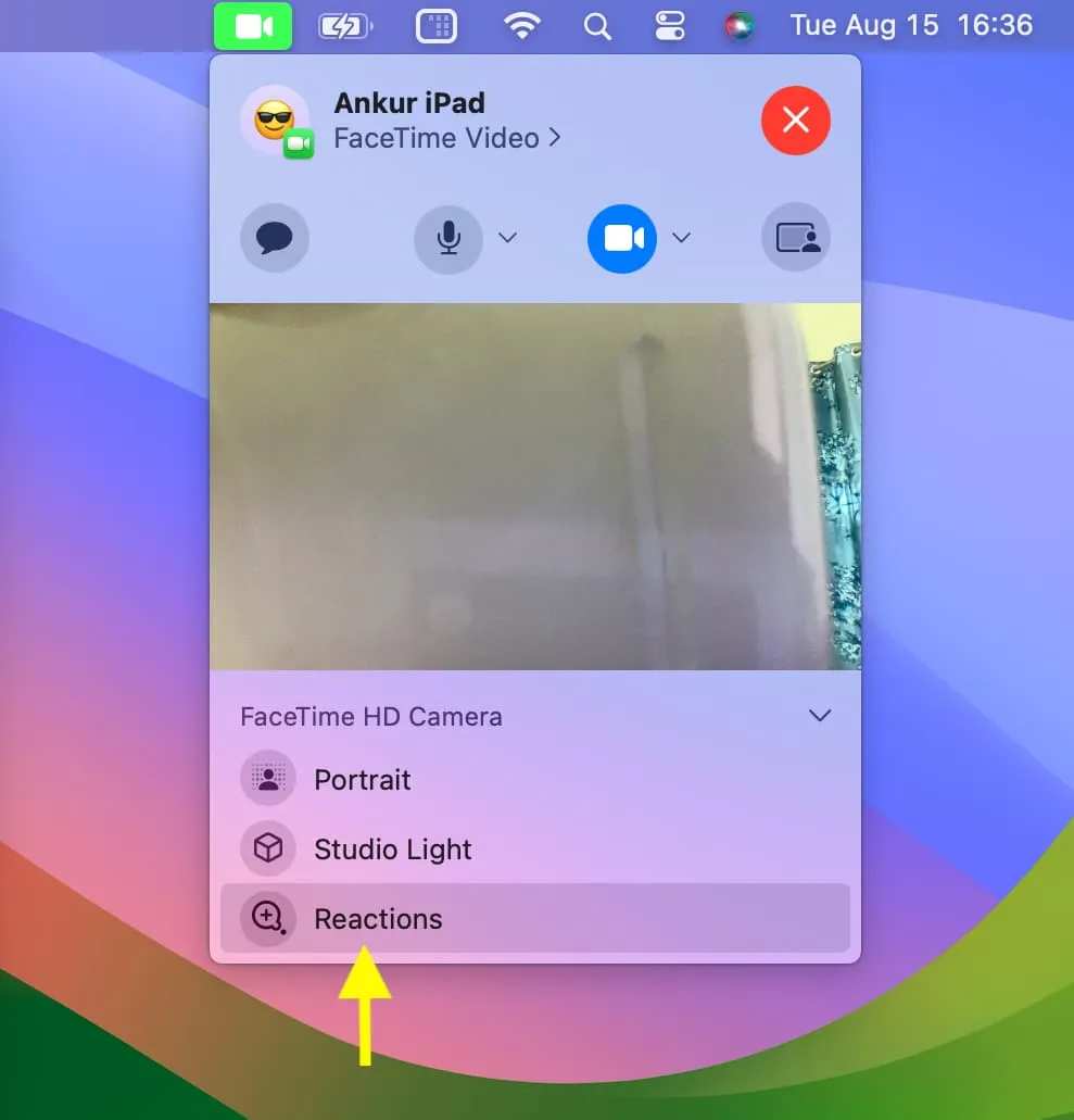 Disattiva le reazioni di FaceTime su Mac