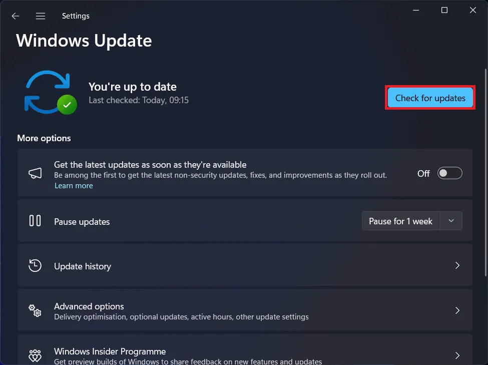 How to Update Graphics Driver on Windows: All Ways