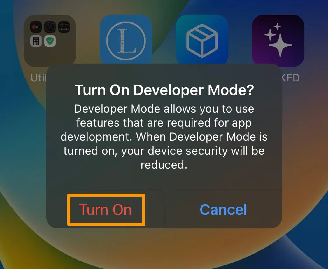 iOS에서 개발자 모드를 활성화할지 확인하세요.