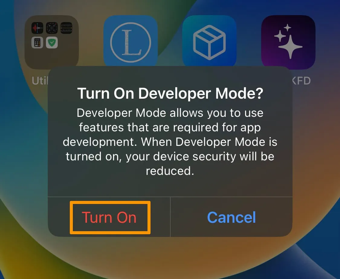 Confirm that you want to enable developer mode on iOS.