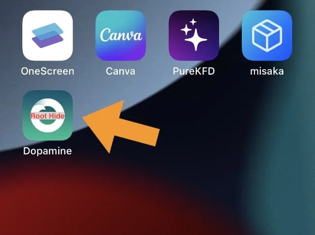 Dopamine RootHide 탈옥 앱을 홈 화면에 표시하세요.