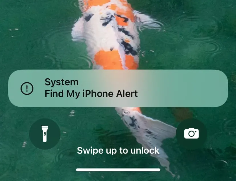 Find My iPhone Alert on Lock Screen