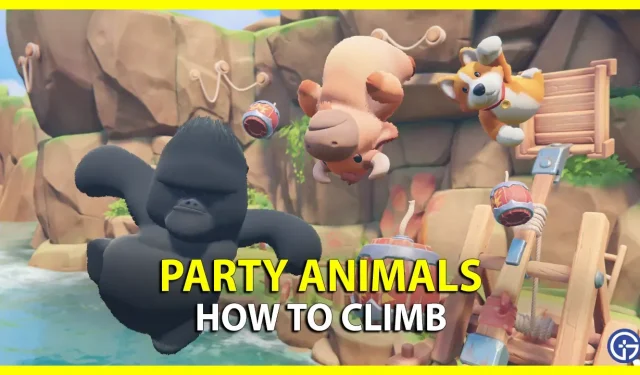 파티 동물: 등반 방법(컨트롤 및 팁)