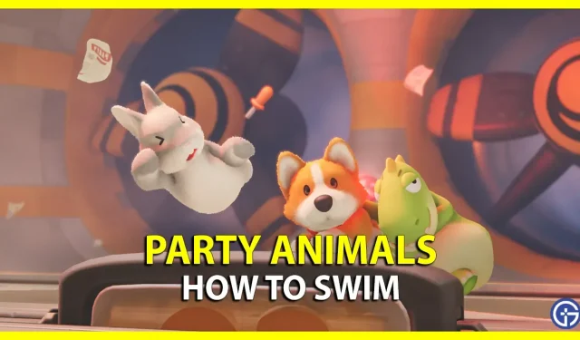 파티 동물: 수영 방법(컨트롤 및 팁)