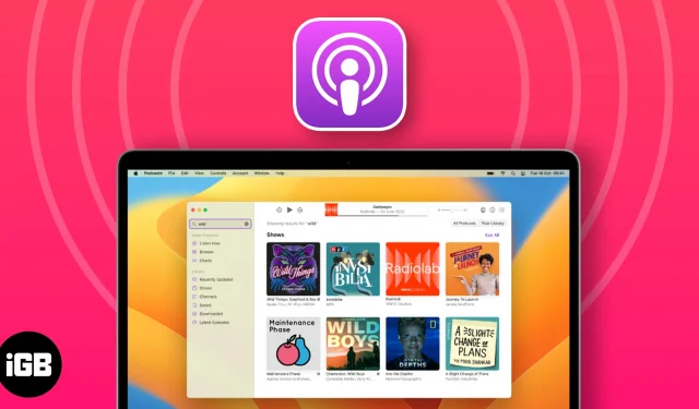 Apple Podcastide rakenduse kasutamine Macis: Ultimate Guide!