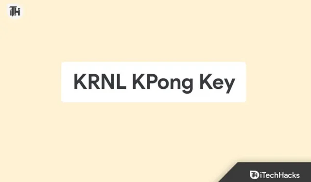 KRNL KPong 키(2023): KPONG Krnl 키 우회 방법