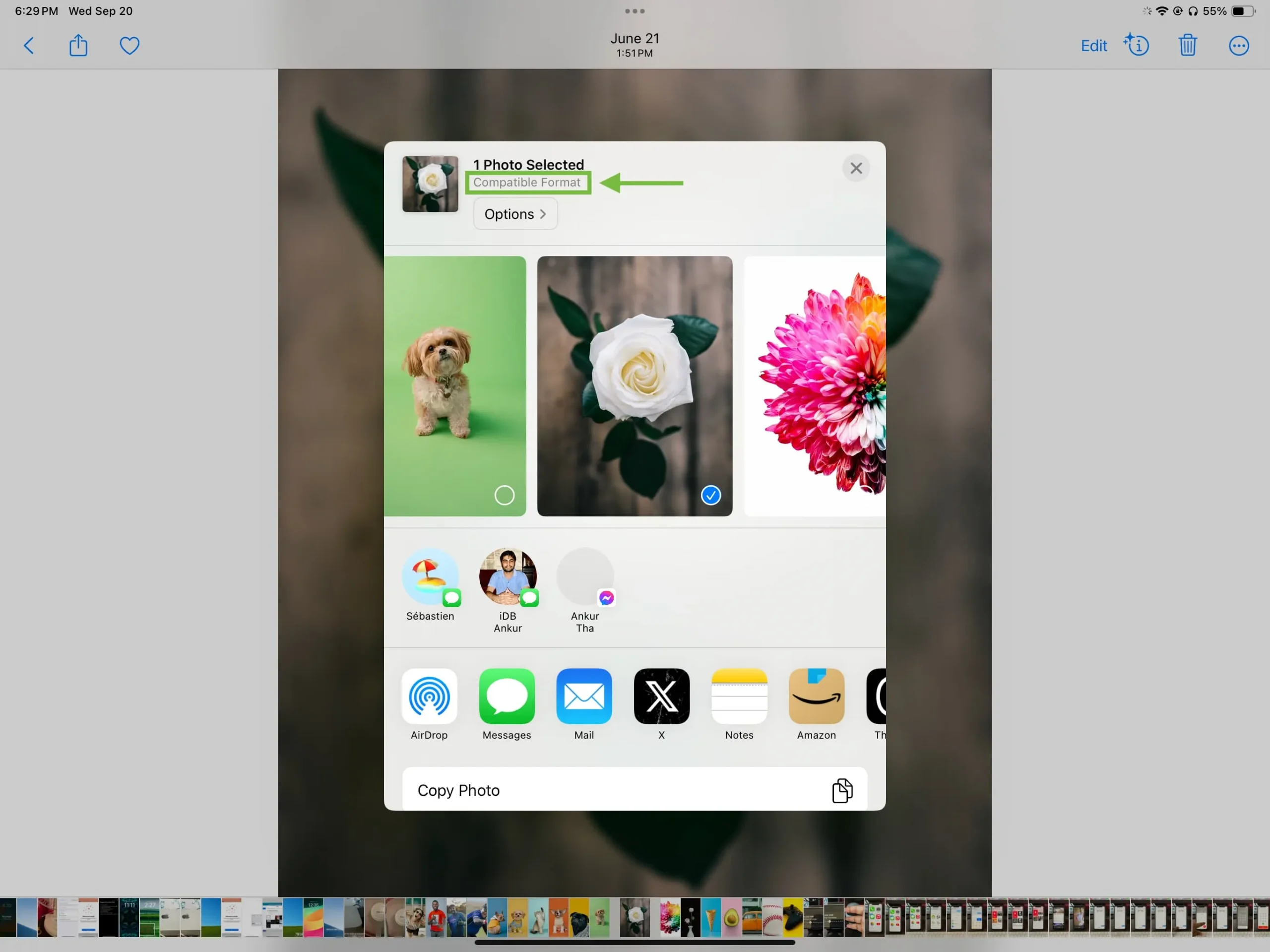 iPad에서 공유하기 전에 호환 가능한 형식으로 변환된 사진