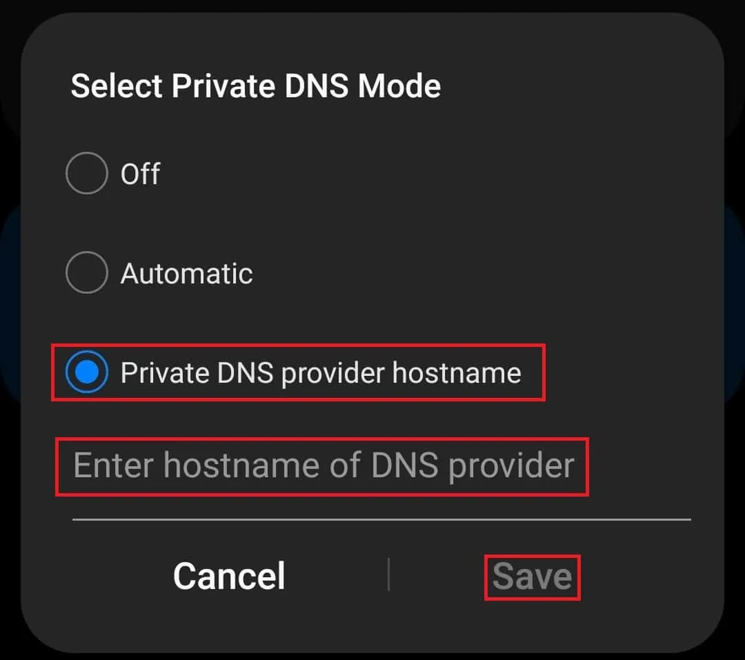 Nombre de host del proveedor de DNS privado