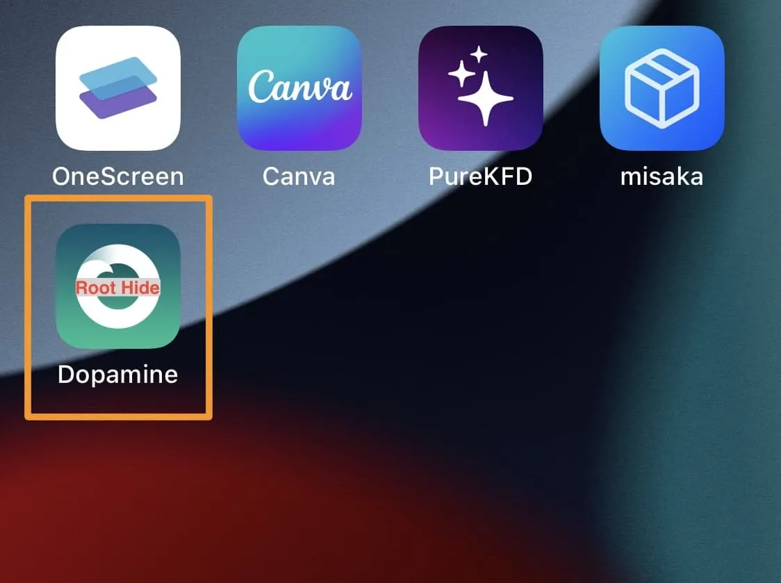 RootHide 도파민 앱.