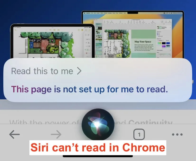 „Siri“ negali skaityti žiniatinklio straipsnių naršyklėje „Chrome“.