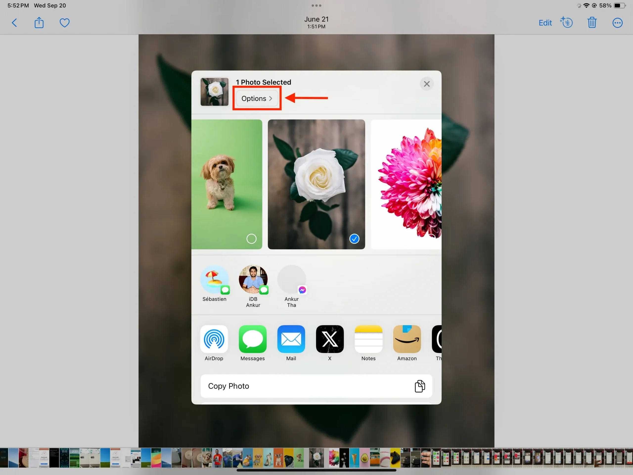 iPad에서 사진을 보낼 때 공유 시트에서 옵션을 탭하세요.