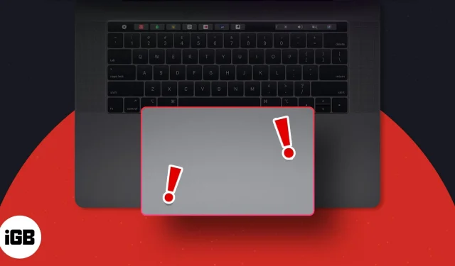 ¿El trackpad no funciona en MacBook? ¡15 formas efectivas de solucionarlo!