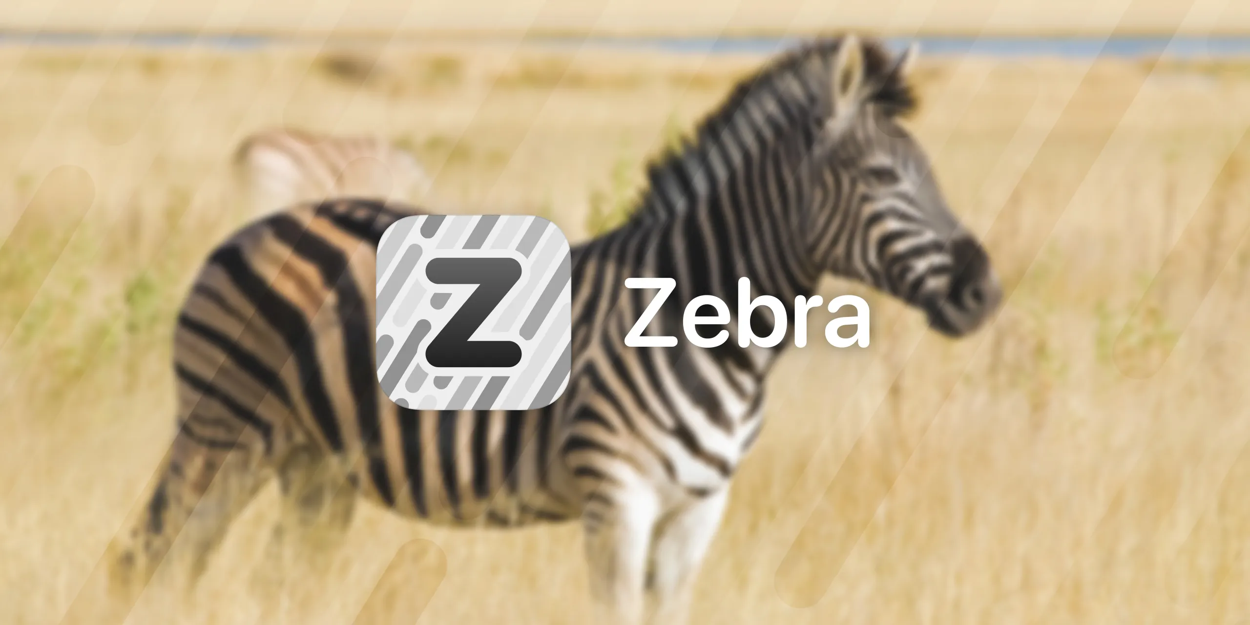 Zebra 패키지 관리자 프로모션 이미지.