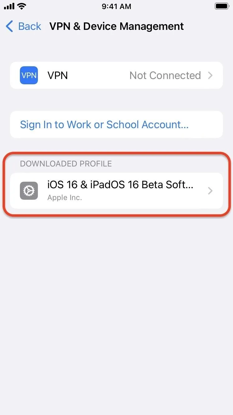 새로운 iPhone 기능을 먼저 사용해보기 위해 iOS 17.1 베타를 다운로드하고 설치하는 방법