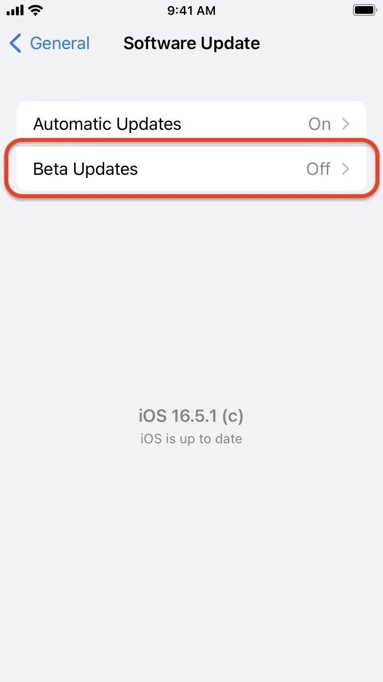 새로운 iPhone 기능을 먼저 사용해보기 위해 iOS 17.1 베타를 다운로드하고 설치하는 방법