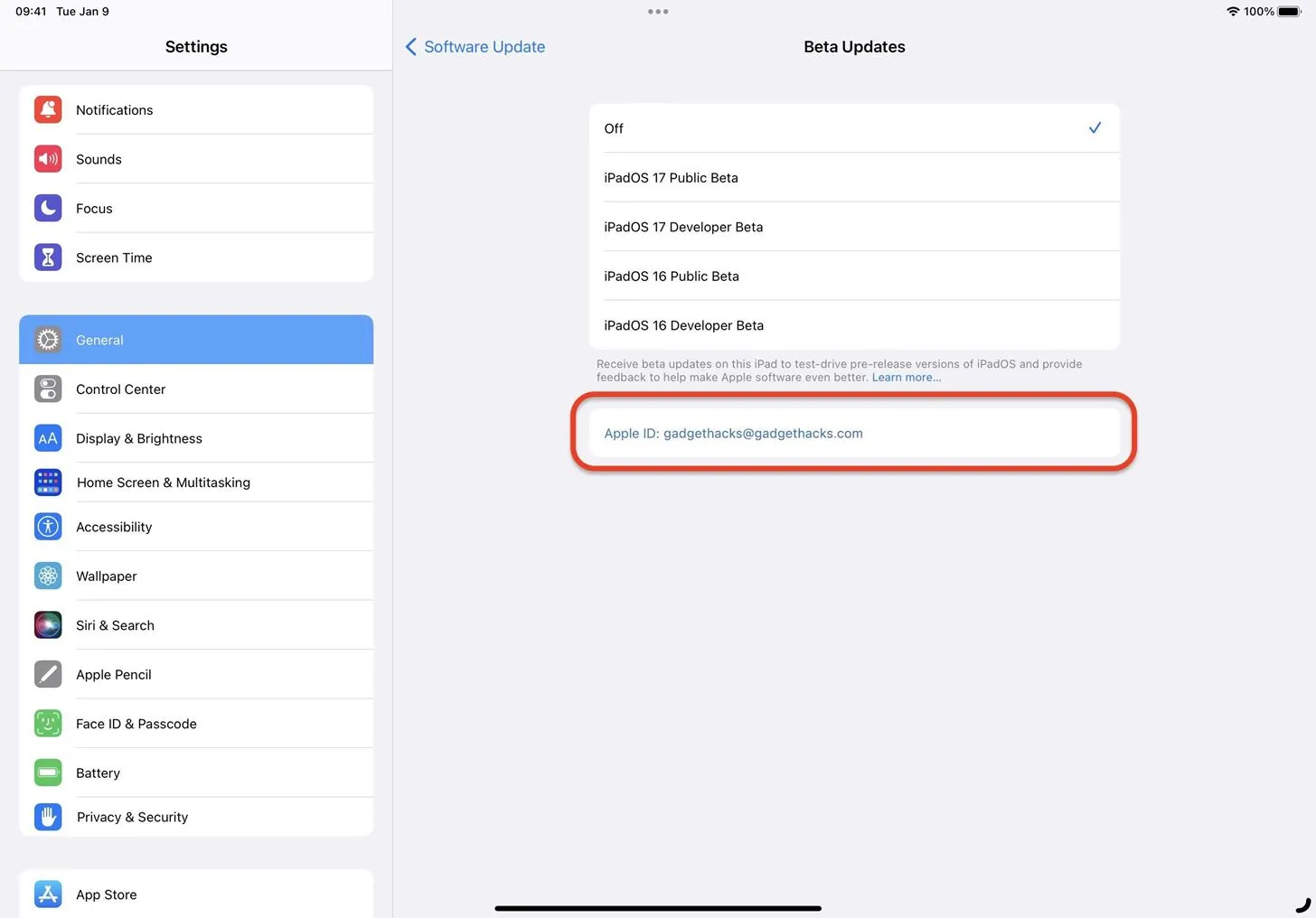 Como baixar e instalar o iPadOS 17.1 Beta para experimentar os novos recursos do iPad antes de todos