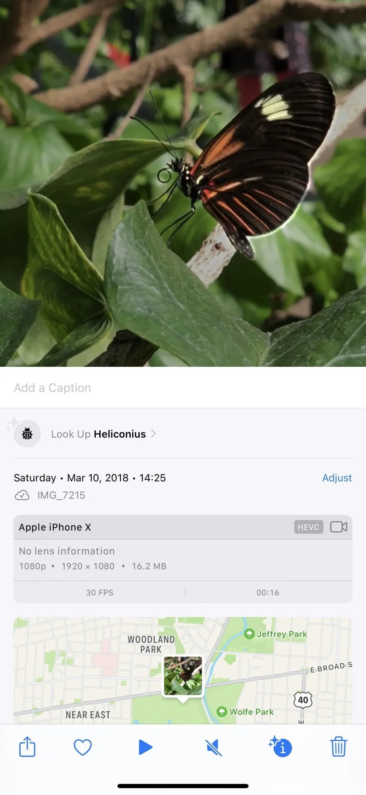 23 neue Fotofunktionen für Ihr iPhone, die Sie unter iOS 17 kennen müssen