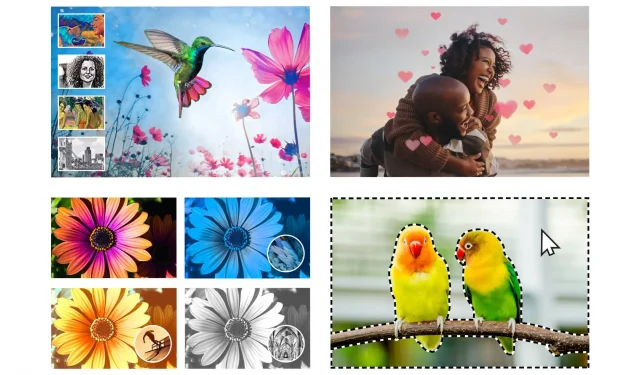 Adobe agrega nuevas funciones impulsadas por IA a Photoshop y Premiere Elements 2024