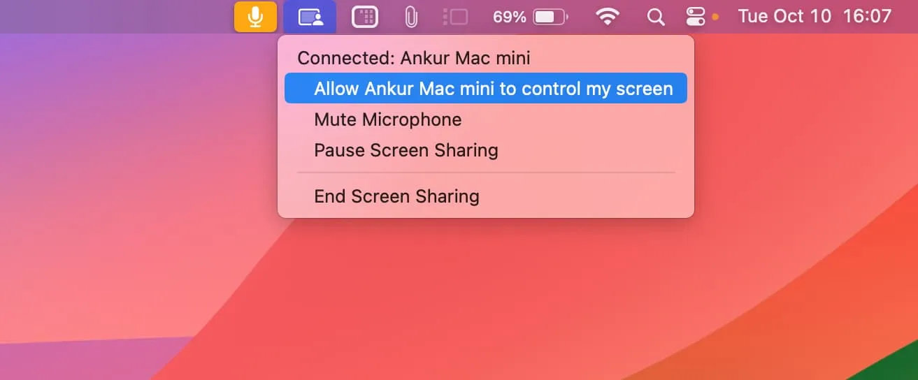 Erlauben Sie einem anderen Mac, meine Bildschirmoption zu steuern