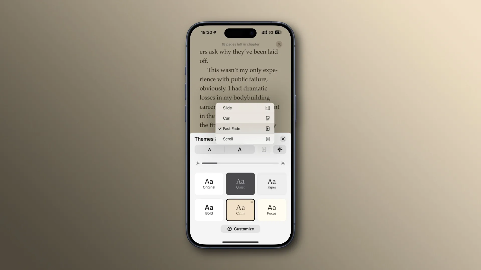 O aplicativo Livros do iPhone com a opção Fast Fade selecionada no menu de virada de página