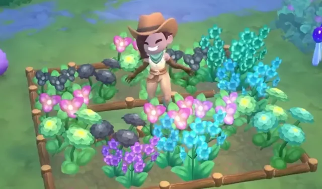 Como plantar flores na fazenda Fae