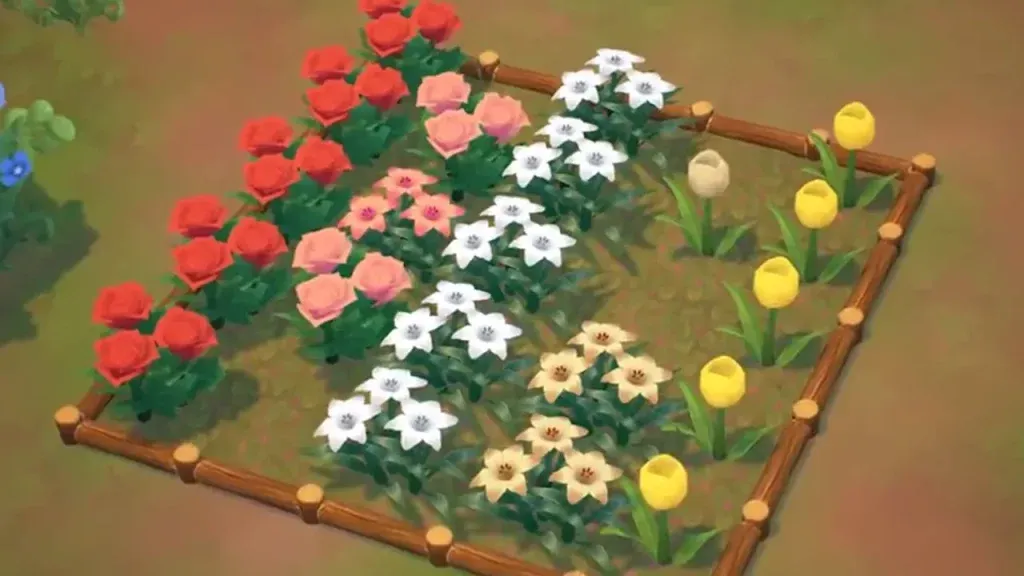 Como cultivar flores diferentes na fazenda Fae