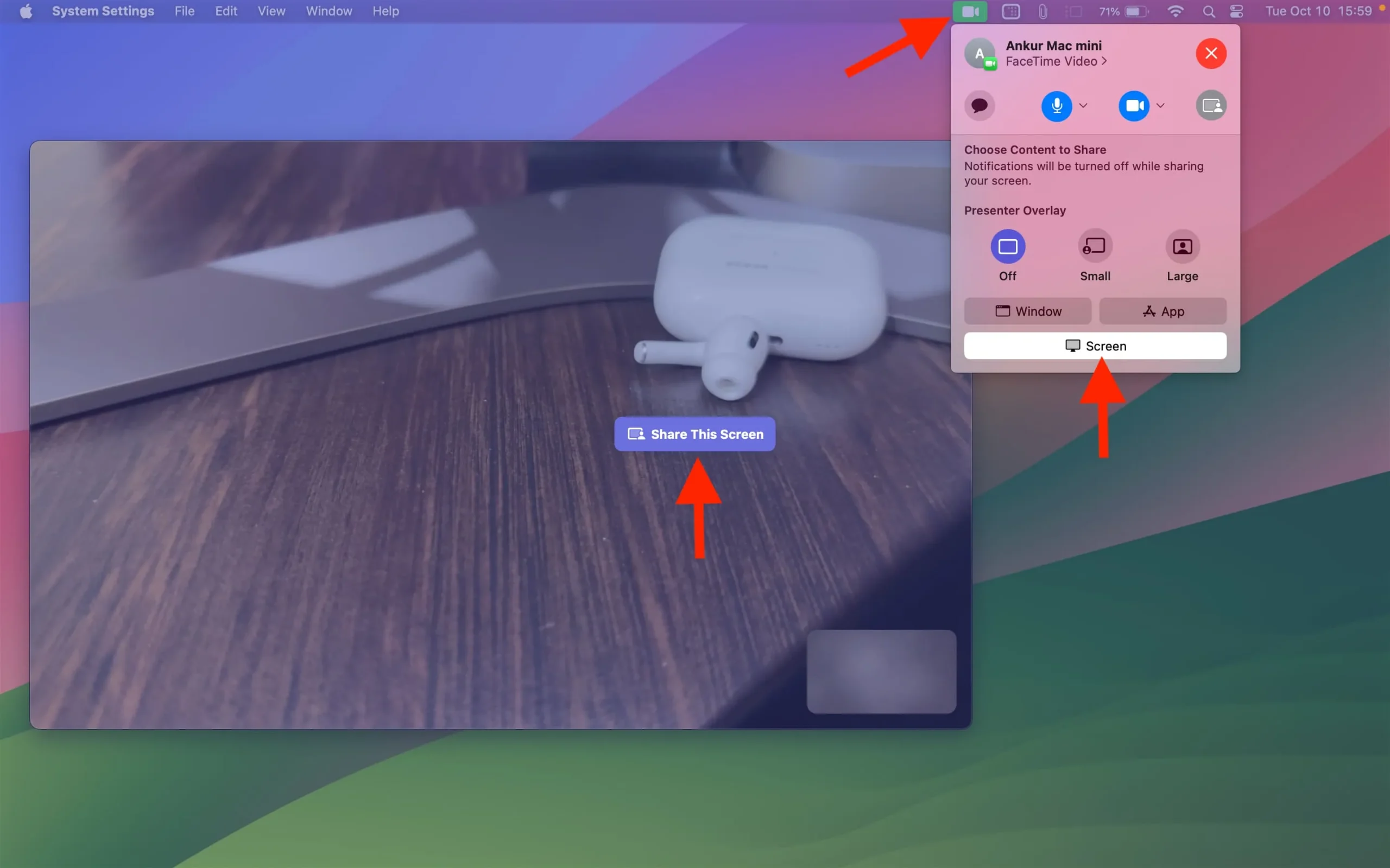Teilen Sie Ihren gesamten Bildschirm während eines FaceTime-Anrufs auf dem Mac
