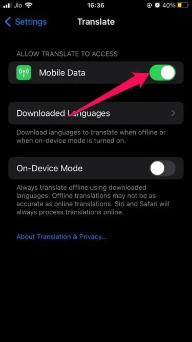 在 iPhone 上使用 Apple 翻譯應用程式