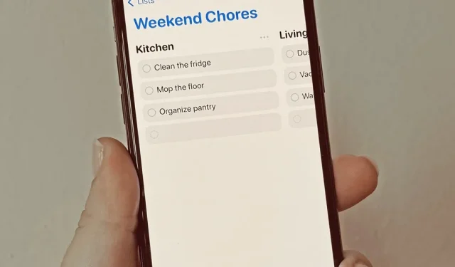Organisieren Sie Erinnerungen nach Abschnitten und Spalten auf Ihrem iPhone für effizientere To-Do-Listen