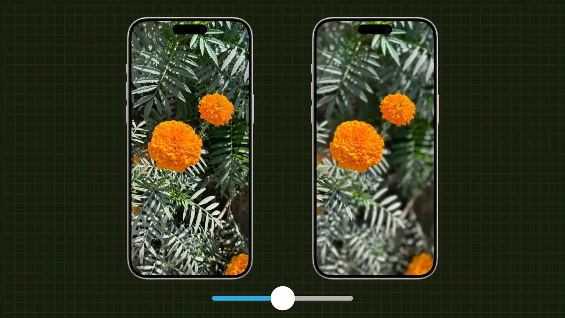 Adjust background blur for photo on iPhone Adjust background blur for photo on iPhone