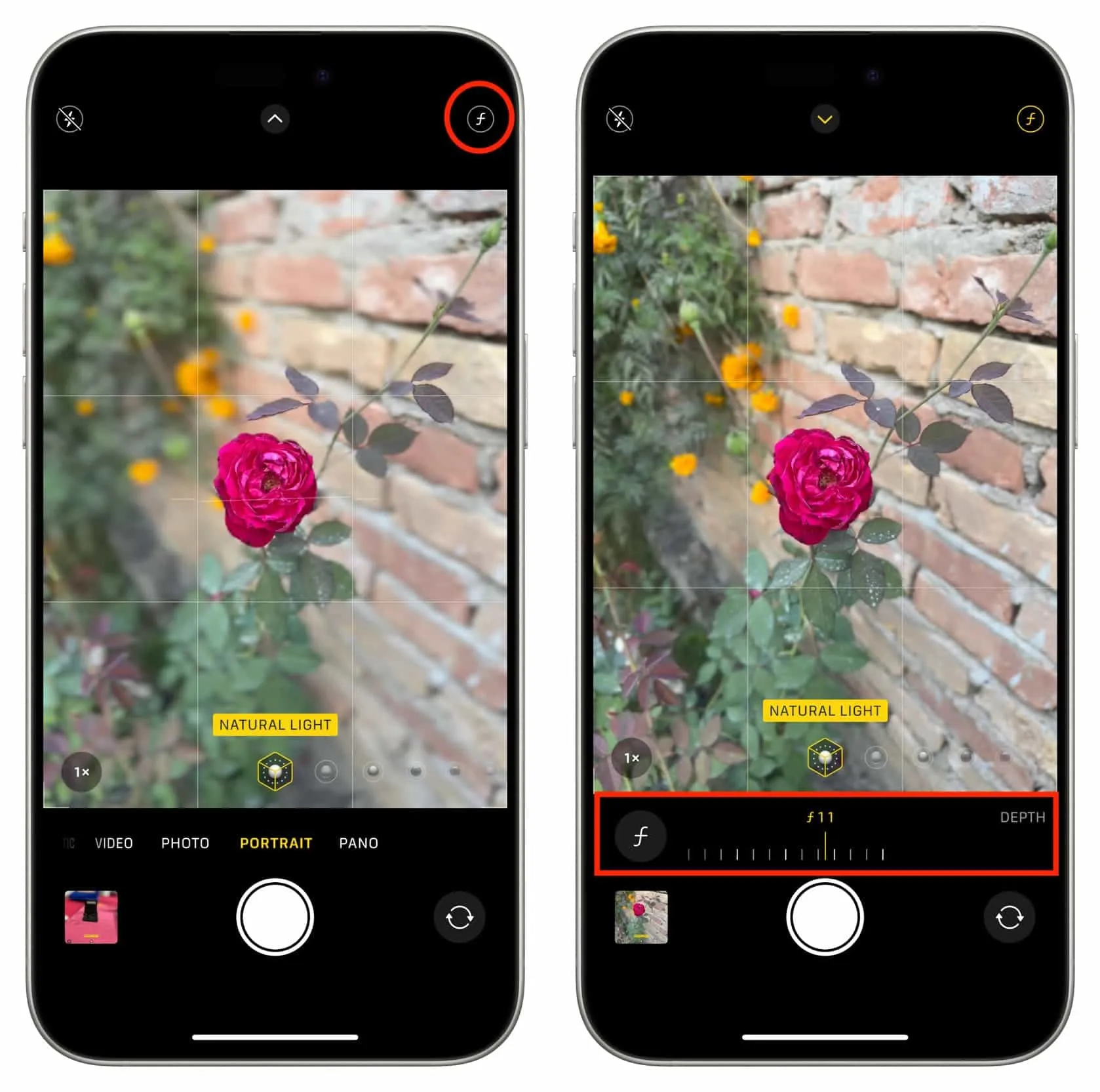 Adjust background blur while taking a picture with iPhone Camera Adjust background blur while taking a picture with iPhone Camera
