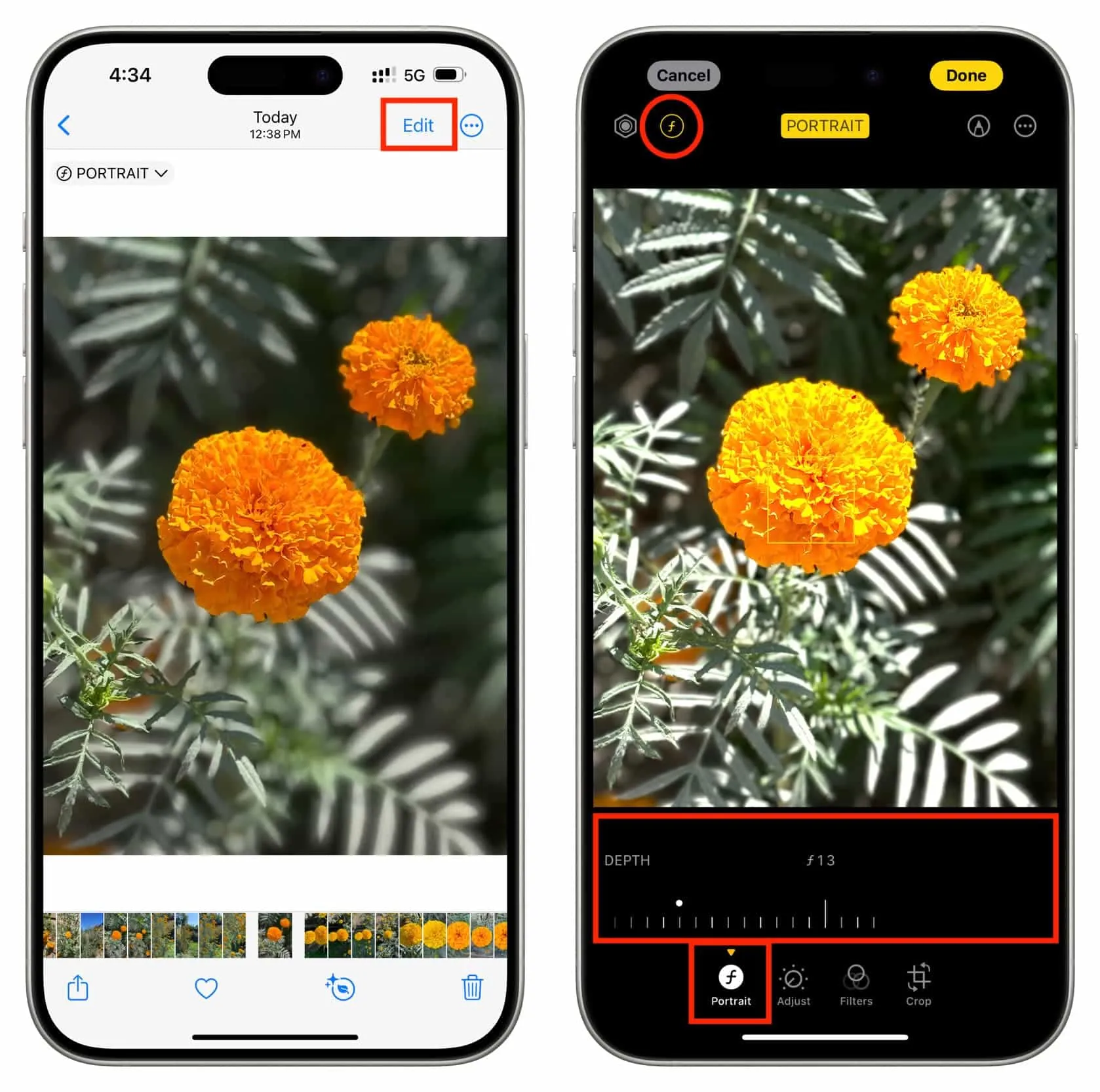 Increase or decrease background blur after taking photo on iPhone Increase or decrease background blur after taking photo on iPhone