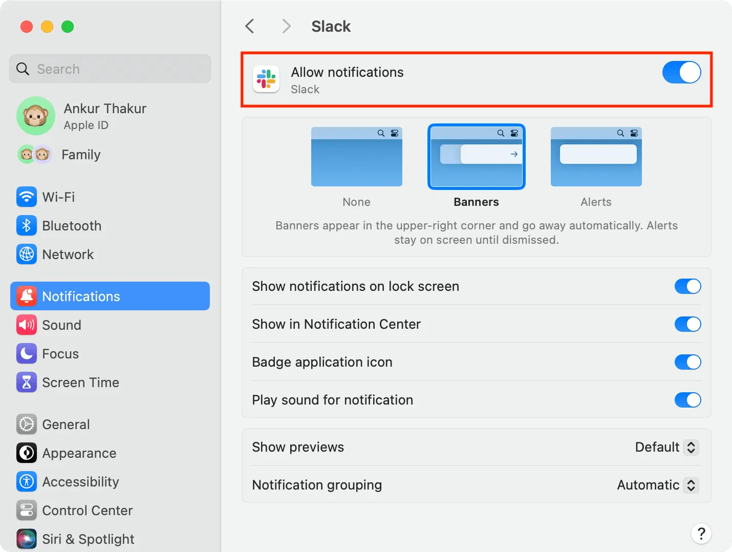 Slack-Benachrichtigungseinstellungen auf dem Mac