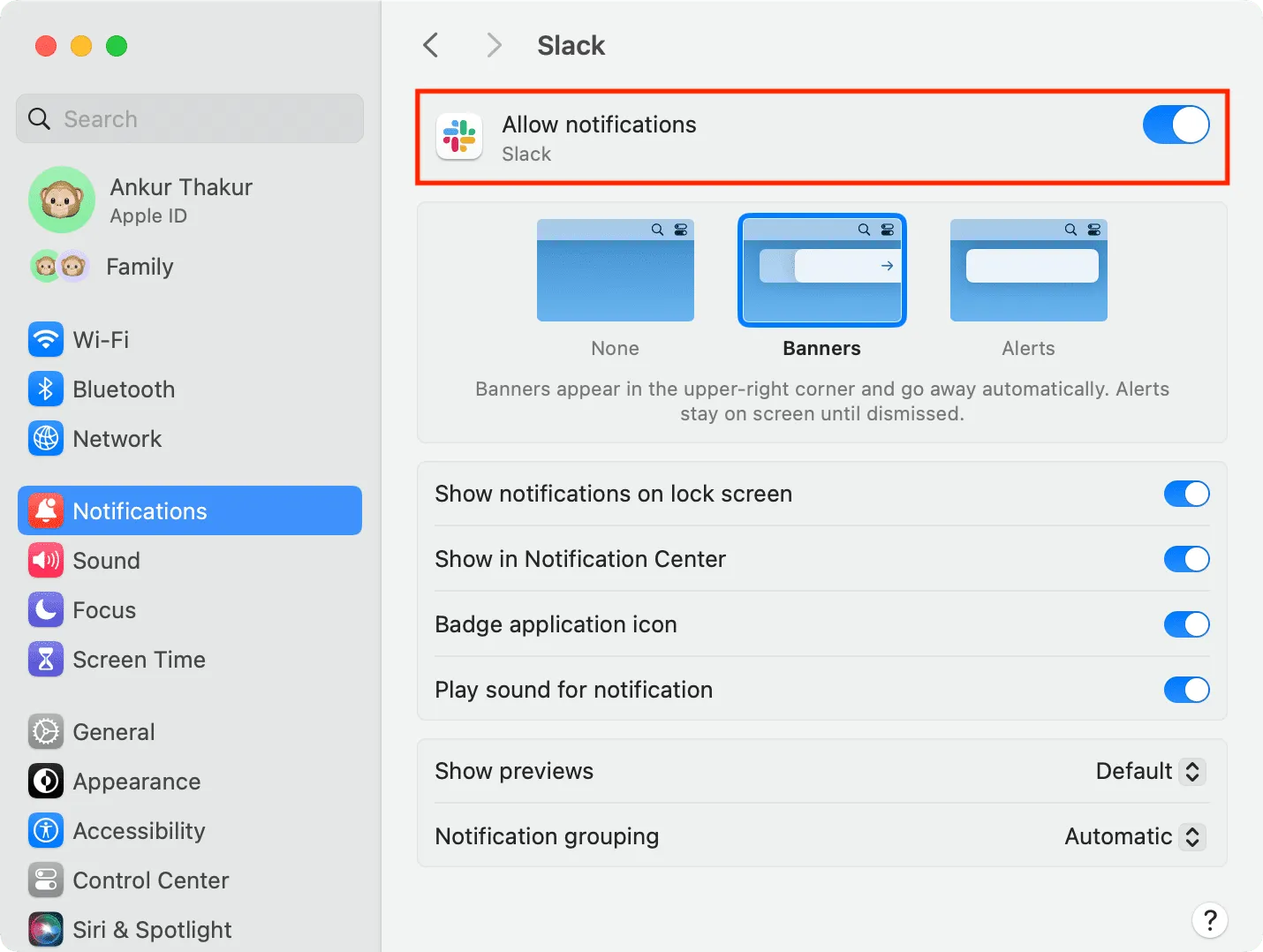 Mac의 Slack 알림 설정