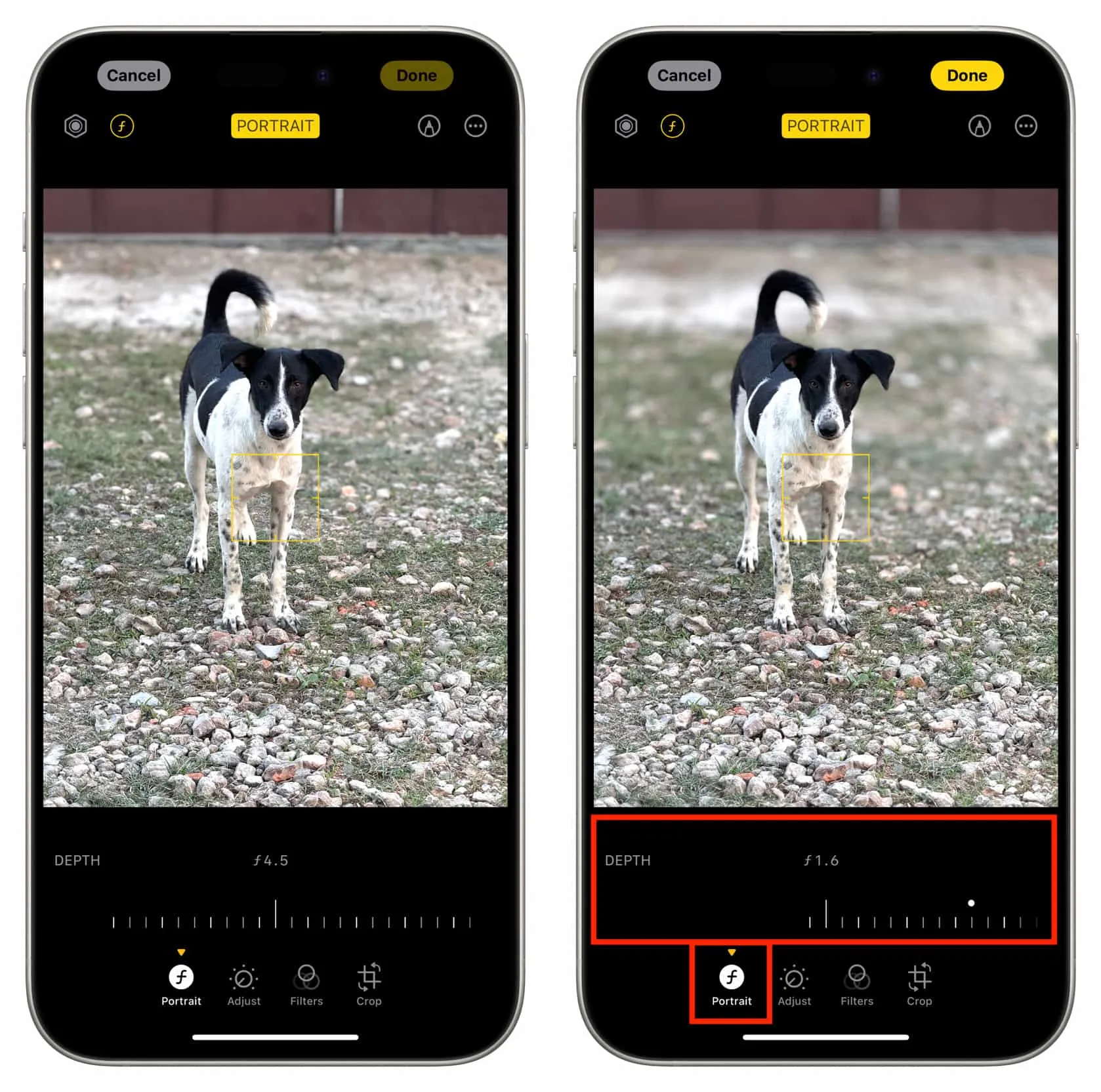 Turn a normal photo into a portrait photo on iPhone 15 Turn a normal photo into a portrait photo on iPhone 15