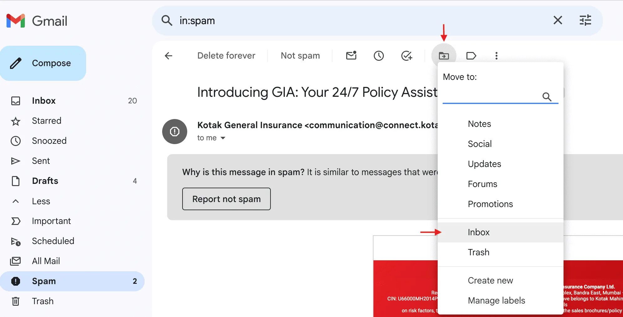Move spam email to the primary inbox on Gmail Move spam email to the primary inbox on Gmail