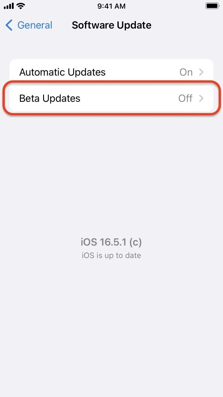 새로운 iPhone 기능을 먼저 사용해보기 위해 iOS 17.3 베타를 다운로드하고 설치하는 방법