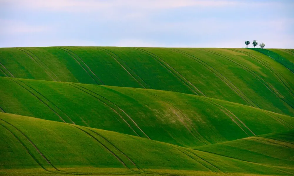 Papier peint colline verte sereine