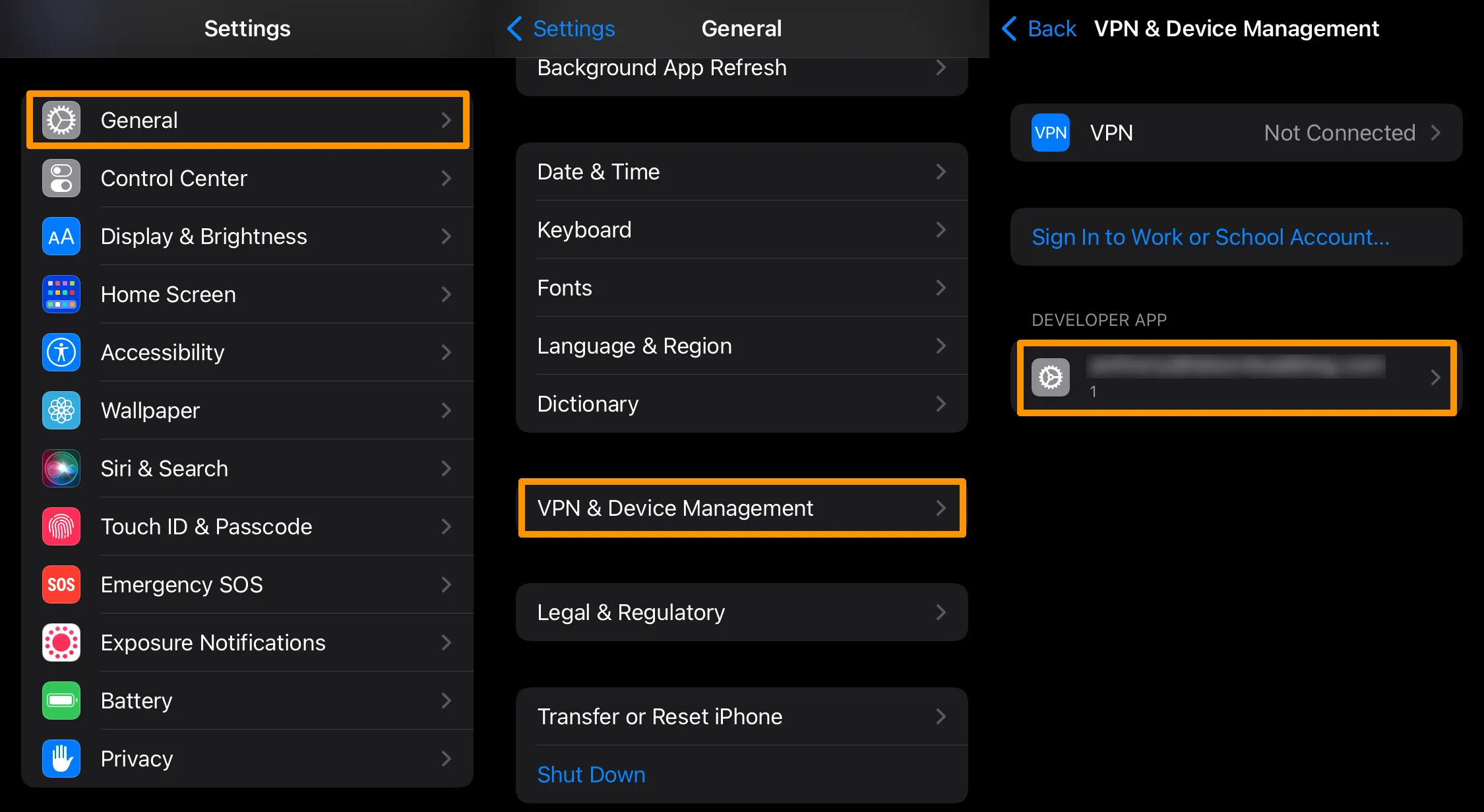 Accédez à Paramètres > Général > VPN et gestion des appareils et faites confiance à votre identifiant Apple.