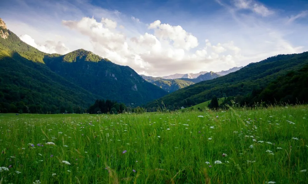 Fond d'écran Vallée des Héros