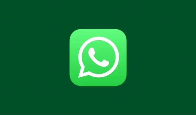 Hur man återställer raderade WhatsApp-foton och videor på iPhone och Android
