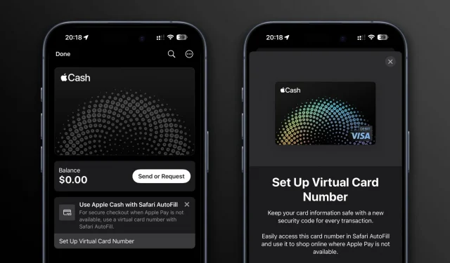 Met iOS 17.4 kunnen Apple Cash-gebruikers virtuele kaartnummers genereren voor Safari AutoFill
