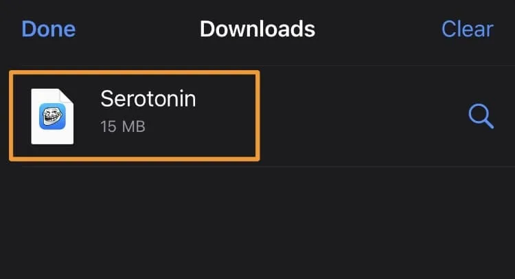 Archivo descargado de serotonina .tipa.