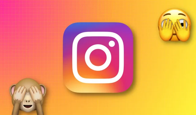 13 Tipps, um Ihr Instagram-Konto vor anderen zu verbergen