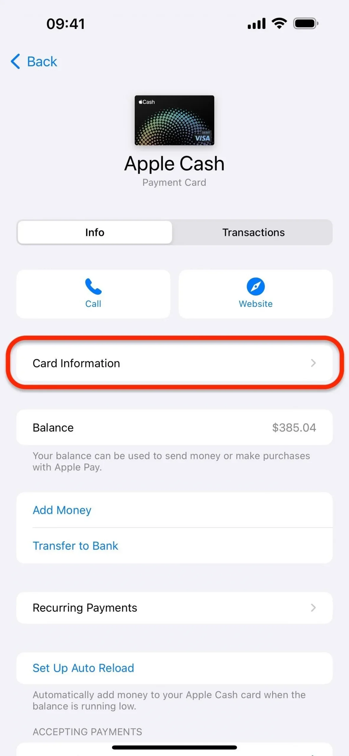 Apple Pay が受け入れられない場所でも使用できるように、iPhone で Apple Cash の仮想カード番号を設定する