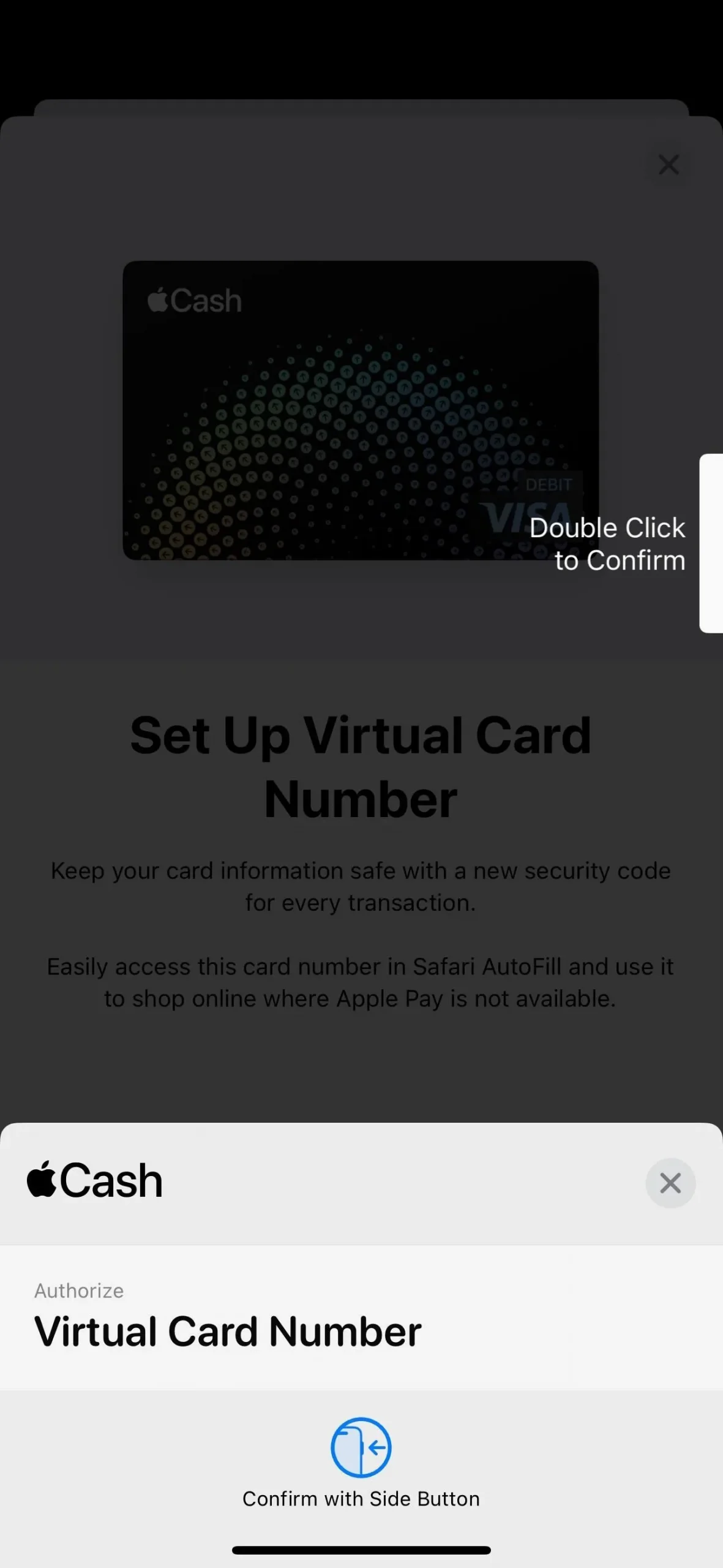 Apple Pay が受け入れられない場所でも使用できるように、iPhone で Apple Cash の仮想カード番号を設定する