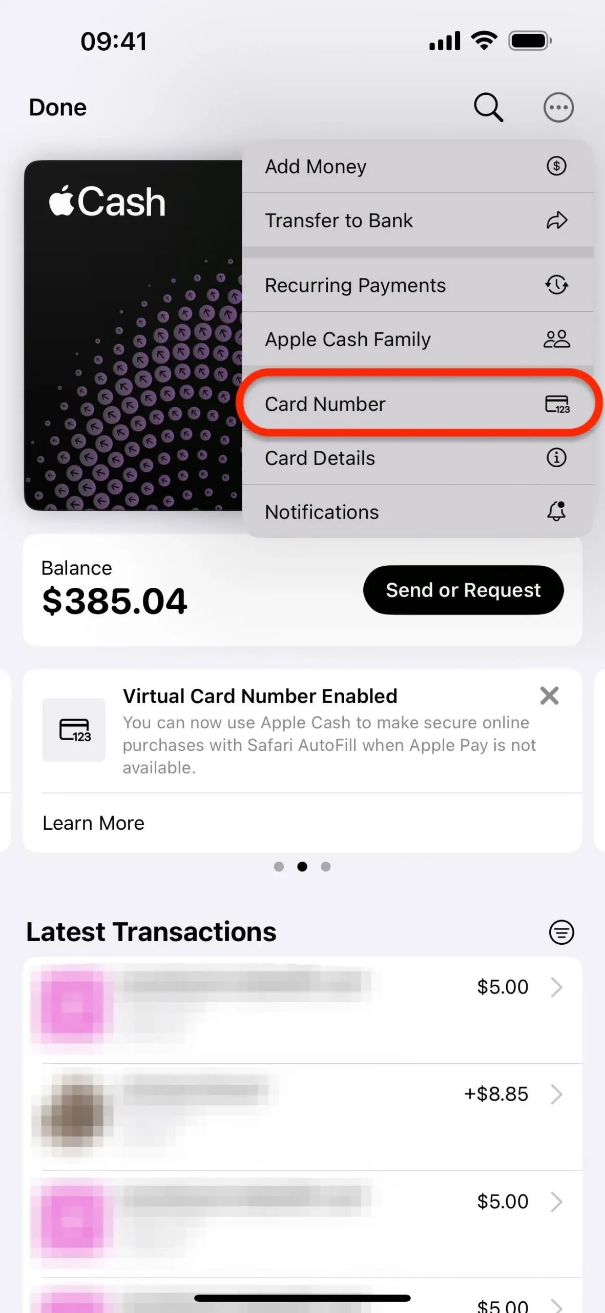 Richten Sie auf Ihrem iPhone eine virtuelle Kartennummer für Apple Cash ein, um sie dort zu verwenden, wo Apple Pay nicht akzeptiert wird
